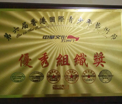 香港第六届优秀组织奖