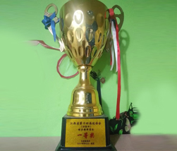 2014运动会一等奖