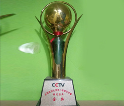 CCTV金奖