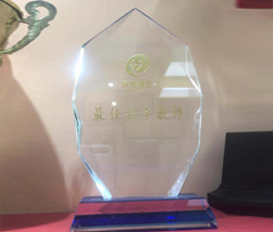 我爱祖国最佳指导教师