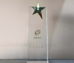 我爱祖国最佳编导教师