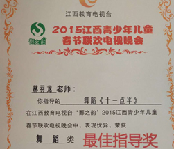 少儿联欢晚会最佳指导奖